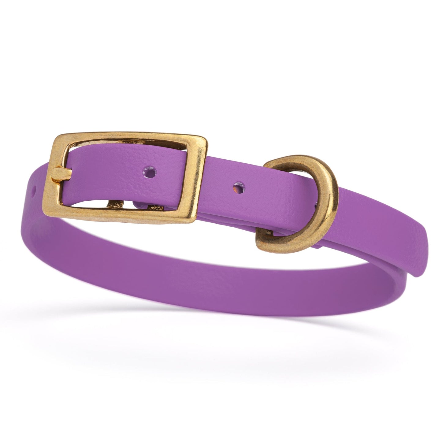 Viper Biothane Waterproof Dog Collar with Brass Hardware Amethyst Purple L 9"-12" x W 1 2" Dog Collars Dogline