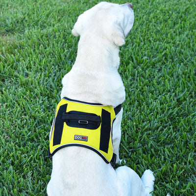 Dogline Quest Multi-Purpose No Pull Dog Harness Dog Harnesses Dogline