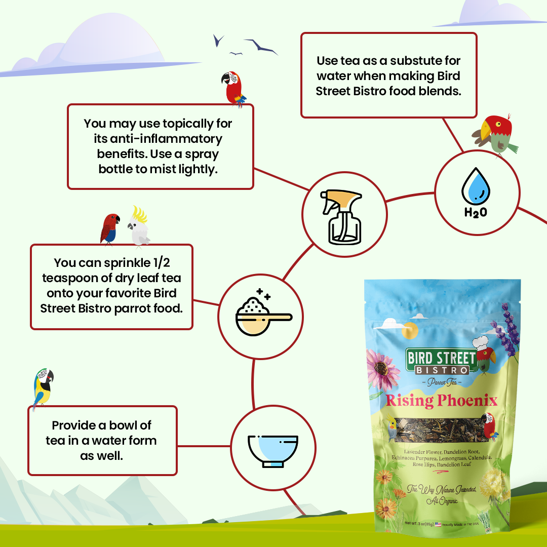 Parrot Food & Tea Starter Pack Parrot Food Bird Street Bistro