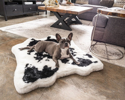 PupRug® Animal Print Memory Foam Dog Bed - Black Faux Cowhide Junior (40" L x 35" W) Dog Beds Paw.com