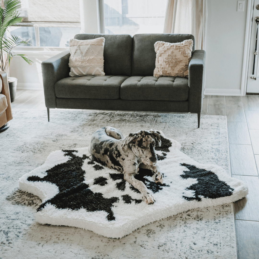 PupRug® Animal Print Memory Foam Dog Bed - Black Faux Cowhide Dog Beds Paw.com