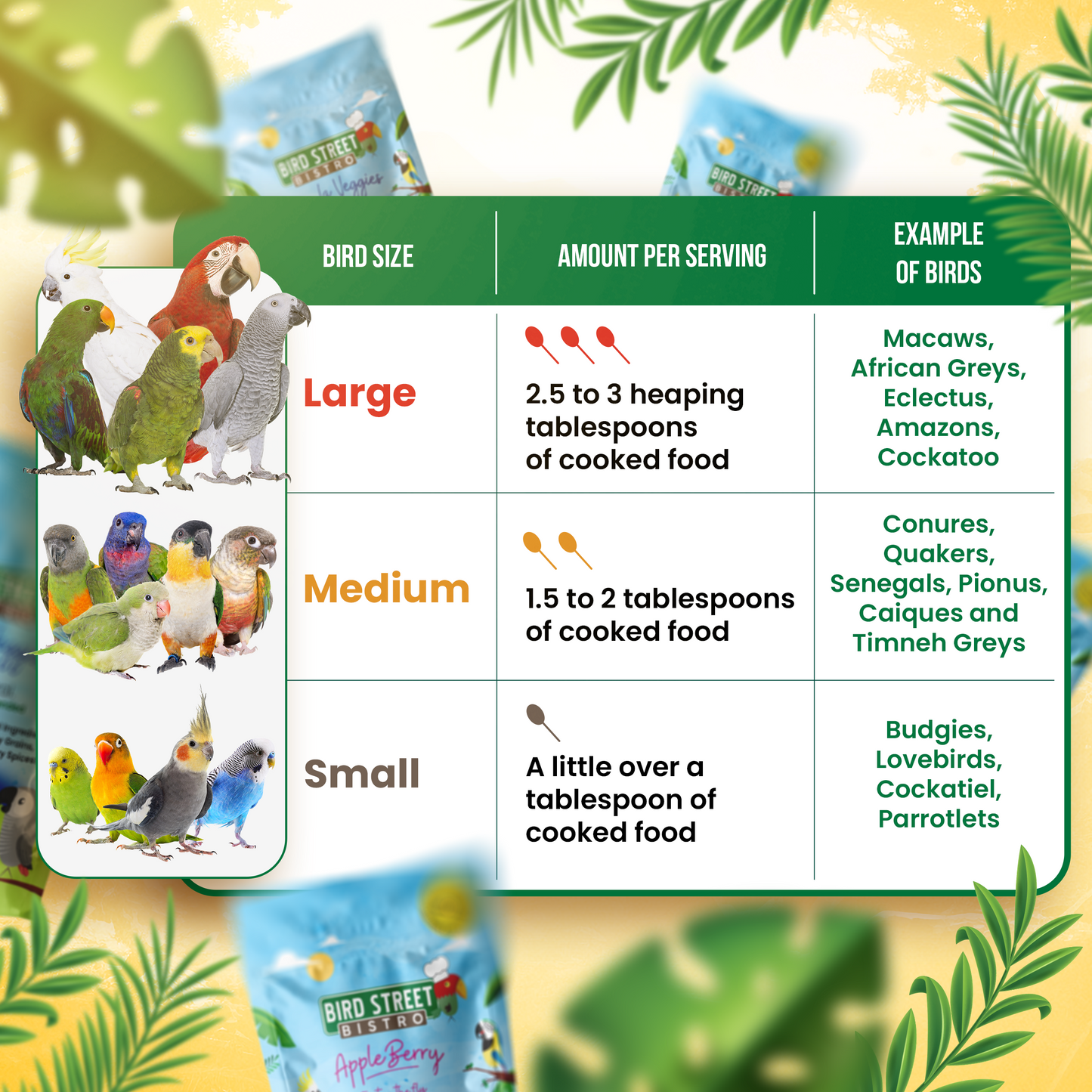 AppleBerry- Feast on the Fly Parrot Food Bird Street Bistro