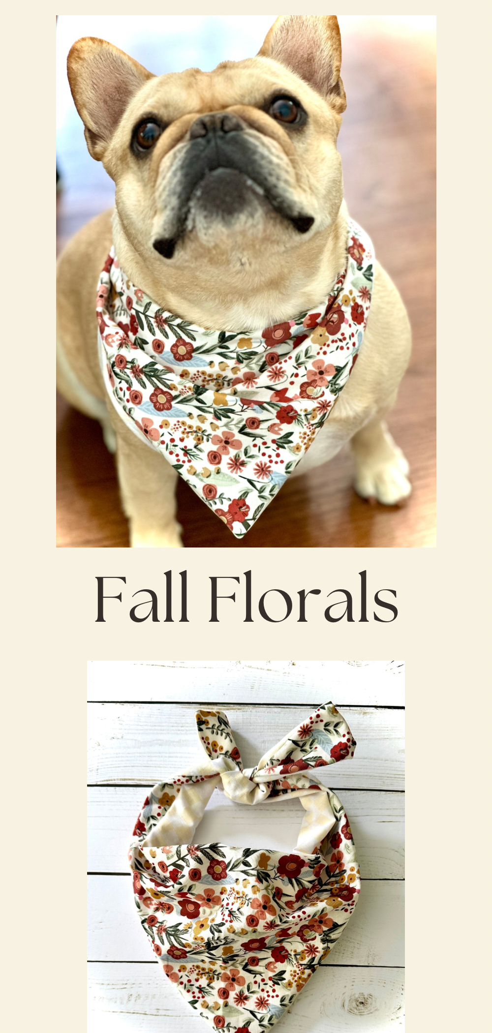 Floral Dog Bandana Dog Bandana Happy Tails Outfitters