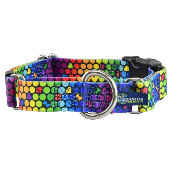 ROY G BIV Buckle Martingale Dog Collar – EarthStyle 2 Hounds Design
