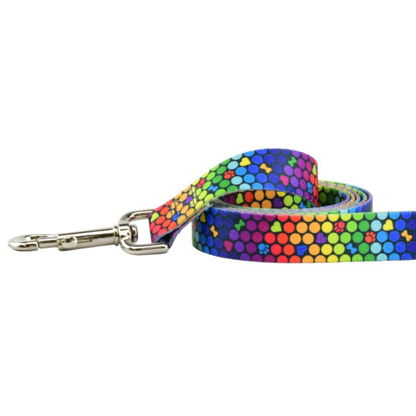 ROY G BIV Dog Leash – EarthStyle 2 Hounds Design