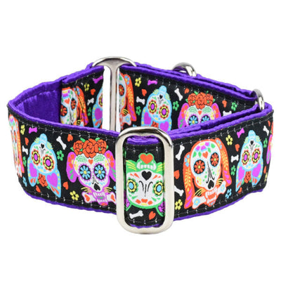 XOLO – Sugar Skull Buckle Martingale Dog Collar Martingale Dog Collar 2 Hounds Design