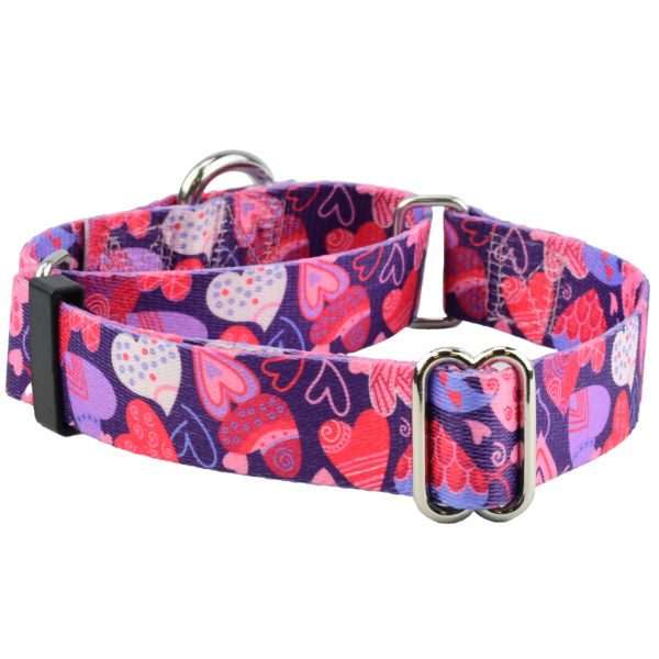 Wild Hearts Martingale Dog Collar – EarthStyle 1 inch 2 Hounds Design