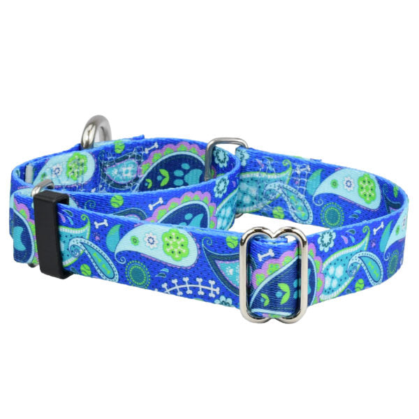 Paw Paisley Martingale Dog Collar – EarthStyle 1 inch 2 Hounds Design