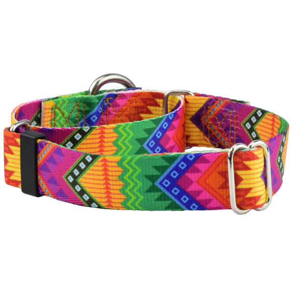 BFF (Best Friends Forever) Martingale Dog Collar – EarthStyle 1 inch 2 Hounds Design