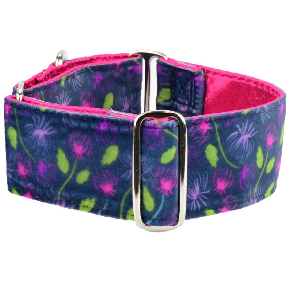 Midnight Dahlia Elite Velvet Dog Collar 2 Hounds Design