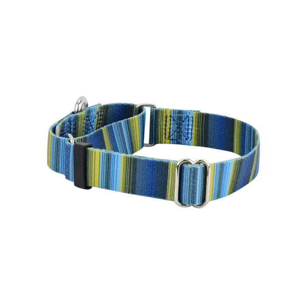 Clyde Martingale Dog Collar – EarthStyle 2 Hounds Design