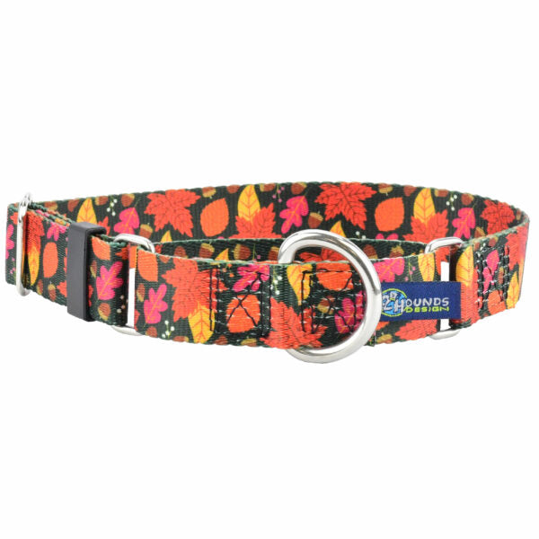 Falling Leaves Martingale Dog Collar – EarthStyle 1 inch Martingale Dog Collar 2 Hounds Design