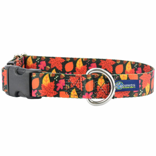 Falling Leaves Dog Collar – EarthStyle 1 inch 2 Hounds Design