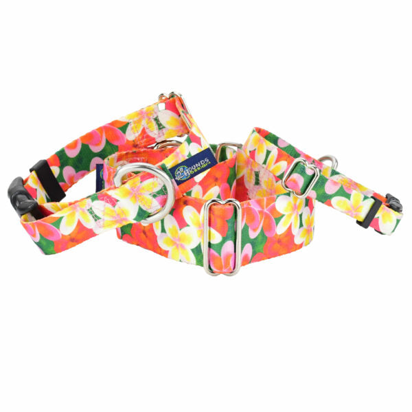 Aloha Buckle Martingale Dog Collar – EarthStyle 2 Hounds Design
