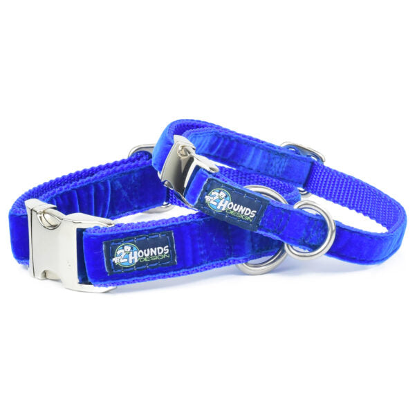 Royal Blue Velvet Essential Buckle Martingale Dog Collar 2 Hounds Design