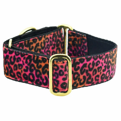 Wild Kitty Pink Elite Velvet Buckle Martingale Dog Collar Martingale Dog Collar 2 Hounds Design