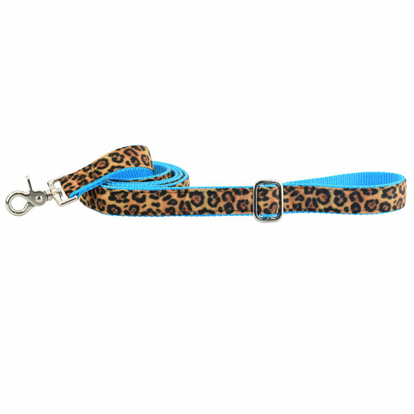 Soft Kitty Velvet Dog Leash (Multiple Webbing Color Options) 2 Hounds Design
