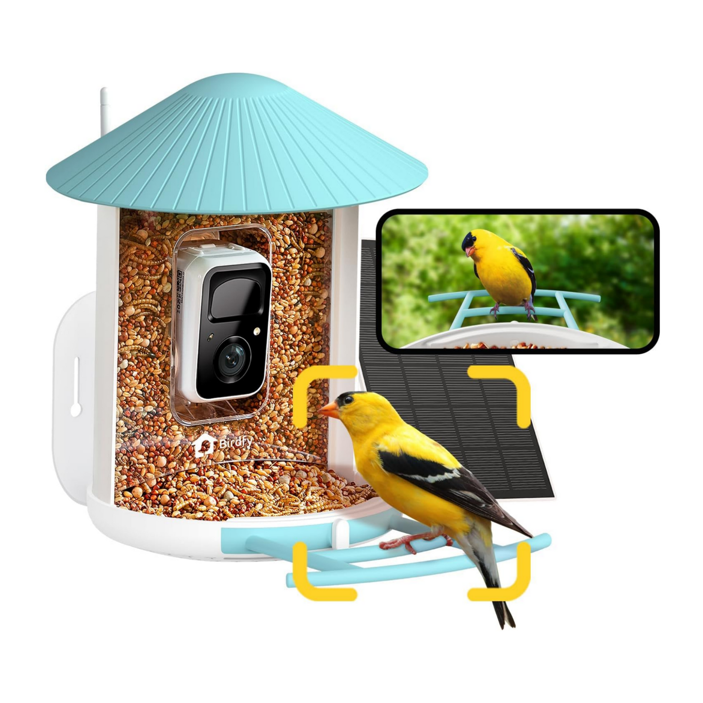 Birdfy Feeder - AI-Powered Smart Bird Feeder with Camera Solar AI Lifetime Free Birdfy Feeder Birdfy