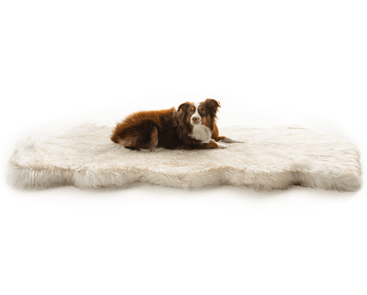 PupRug® Runner Faux Fur Memory Foam Dog Bed - Curve White with Brown Accents Dog Beds Paw