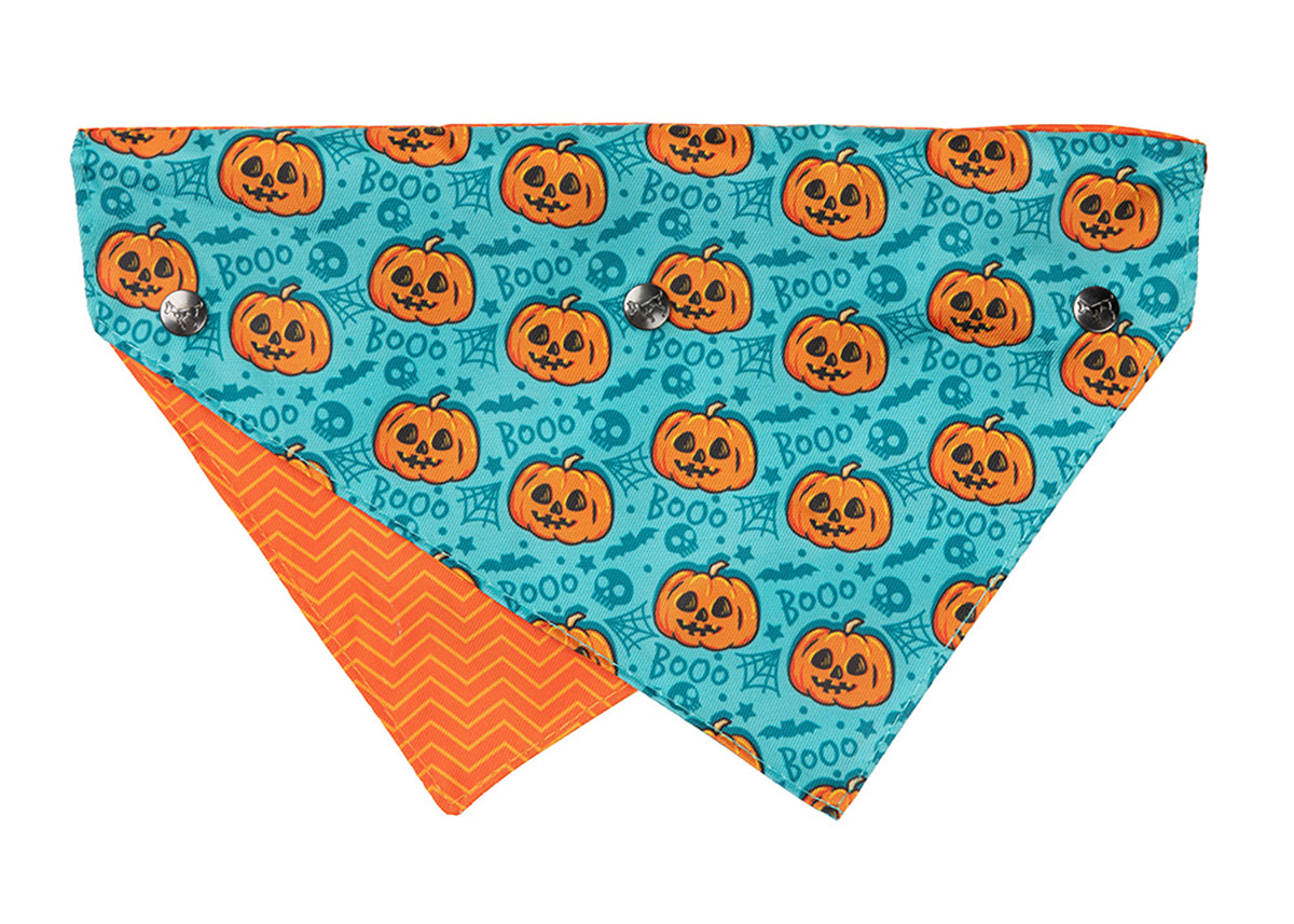 FuzzYard Bandana Jack Jack Jackie Lantern Teal S/M Dog Bandana Pet Palette Distribution