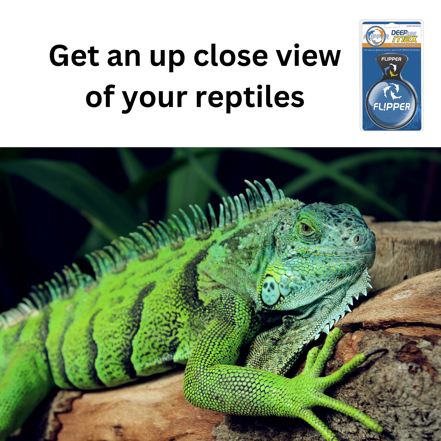 DeepSee Viewer Black Nano 3" Aquarium Viewer Flipper Aquarium Products