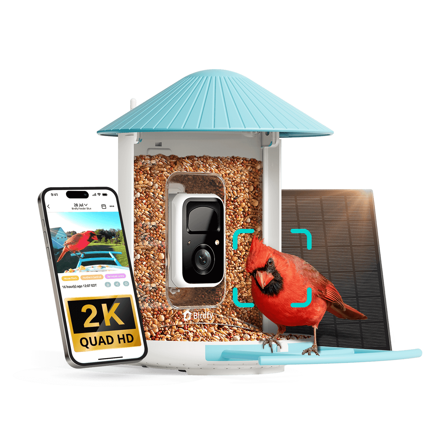 Birdfy Feeder - AI-Powered Smart Bird Feeder with Camera Solar AI Lifetime Free Birdfy Feeder Birdfy