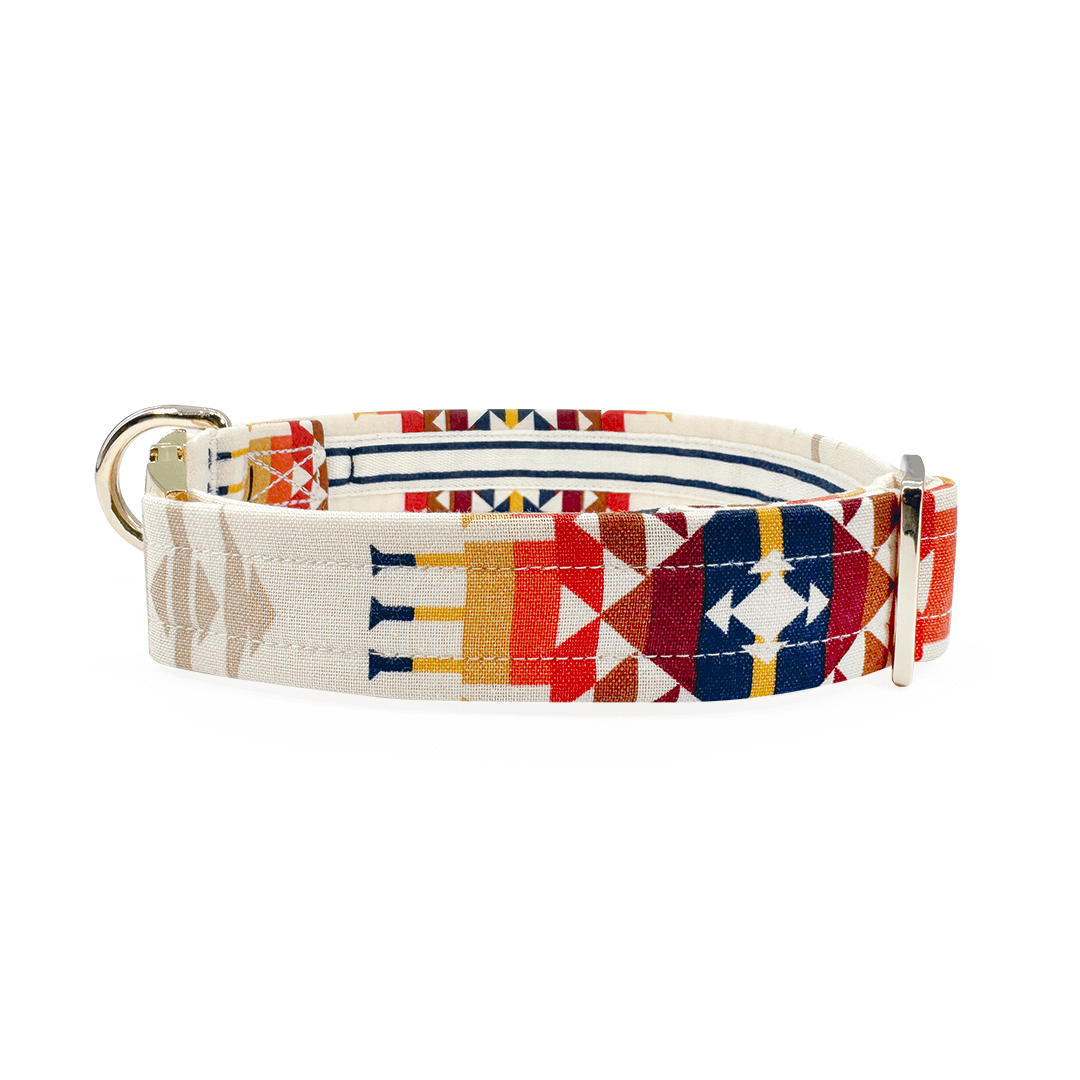 Aztec Southwestern Woven Stripe Buckle & Martingale Collar Dog Collars Nauti-dog Handmade