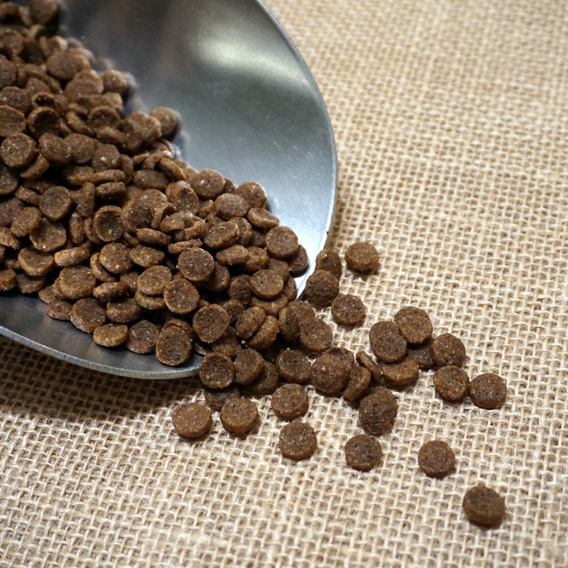 Salmon & Brown Rice Dog Food Chief’s Treats and Pet Supplies