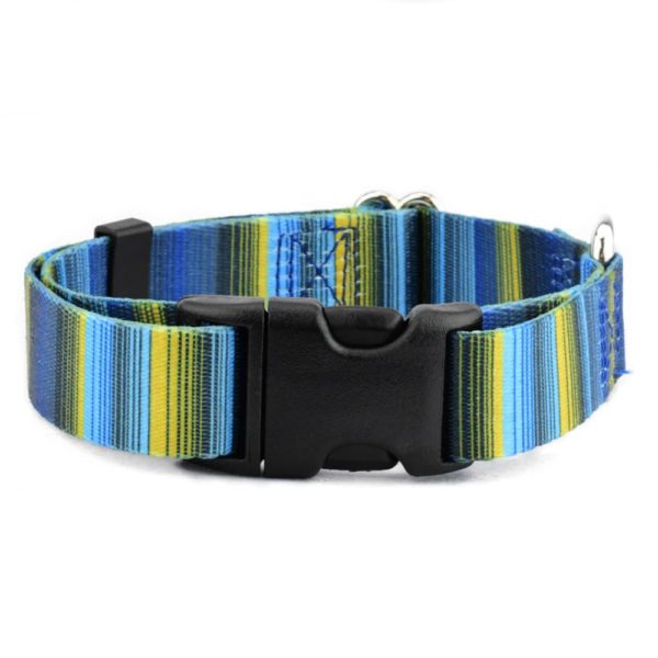Clyde Dog Collar – EarthStyle 2 Hounds Design