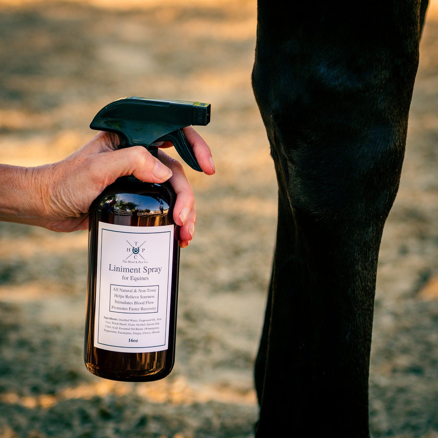 Liniment Spray for Horses - 16oz The Hoof & Paw Co.