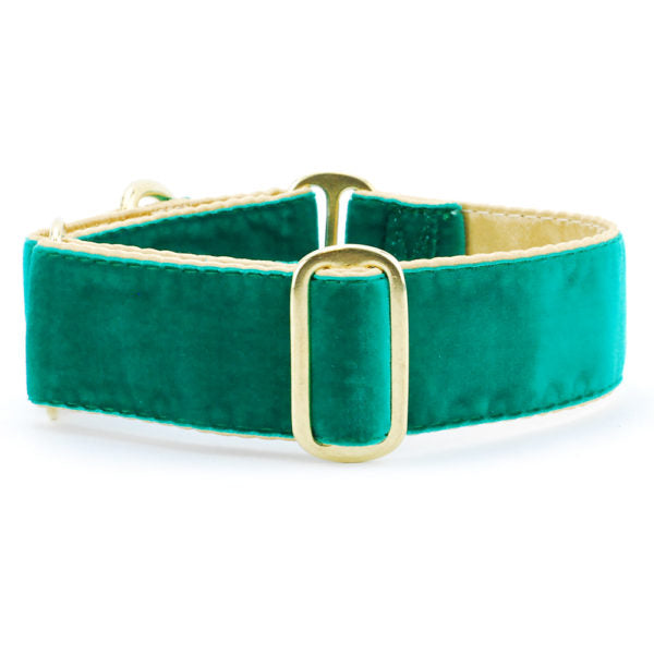 Holiday Velvet – Green/Gold Buckle Martingale Dog Collar 2 Hounds Design