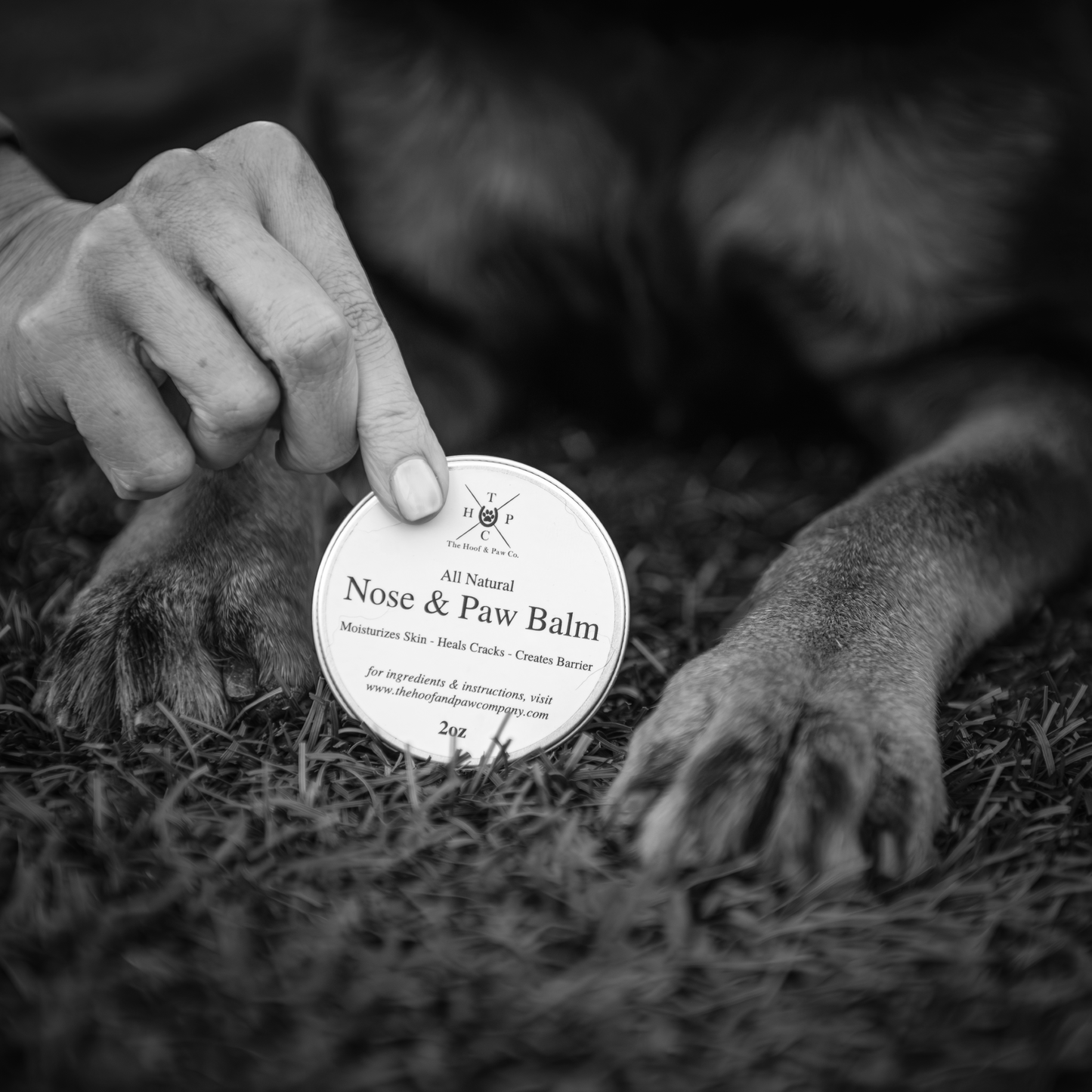 Nose & Paw Balm for Dogs - 2oz The Hoof & Paw Co.