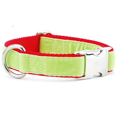 Lime Green/Red Holiday Velvet Essential Dog Collar Dog Collar 2 Hounds Design