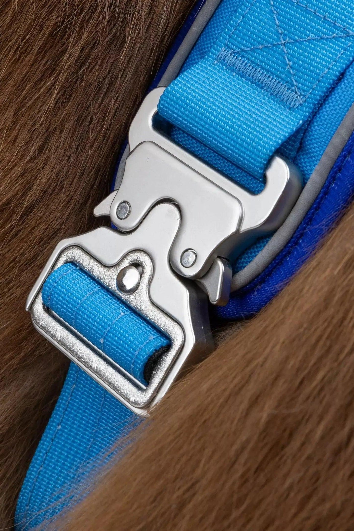 Dockside Adventures Ultimate Harness Harness Aria the Fox