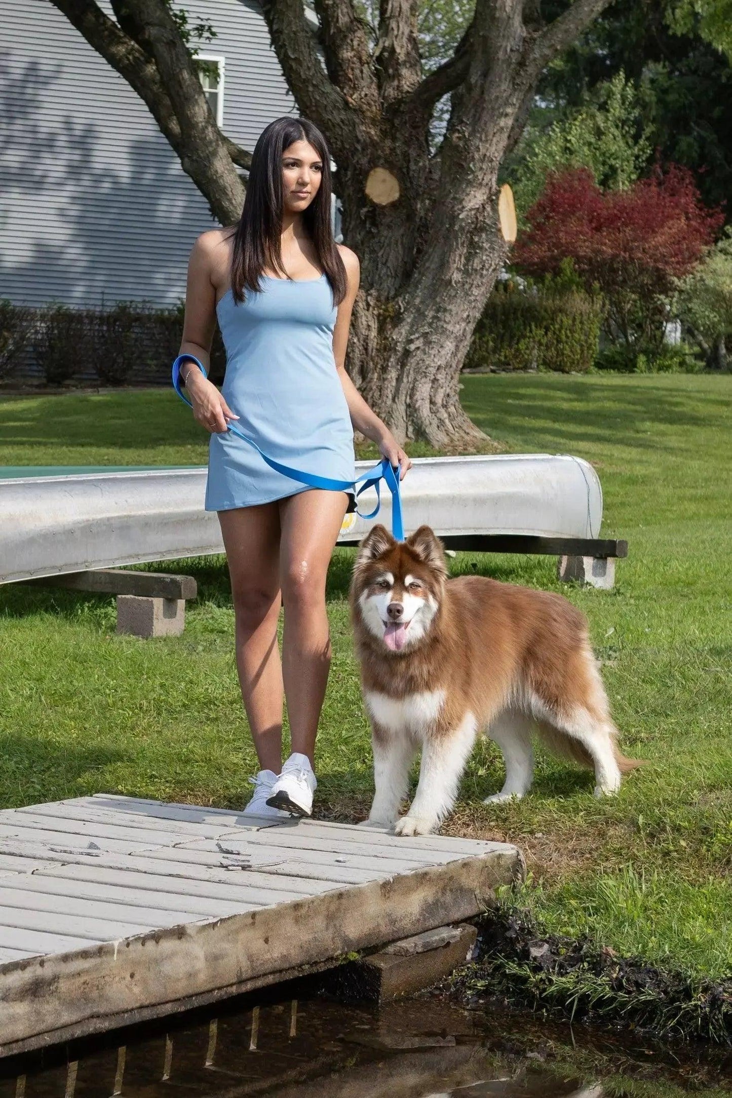 Dockside Adventures Waterproof Dog Collar Dog Collar Aria the Fox