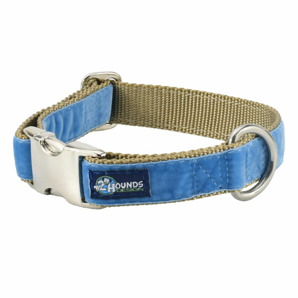 Dusty Blue Velvet Essential Buckle Martingale Dog Collar Martingale Dog Collar 2 Hounds Design