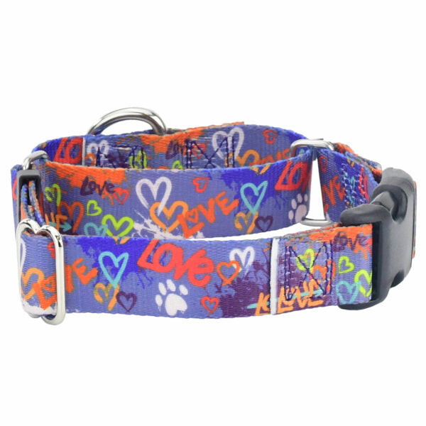 Love Graffiti Blue Buckle Martingale Dog Collar – EarthStyle 1 inch 2 Hounds Design