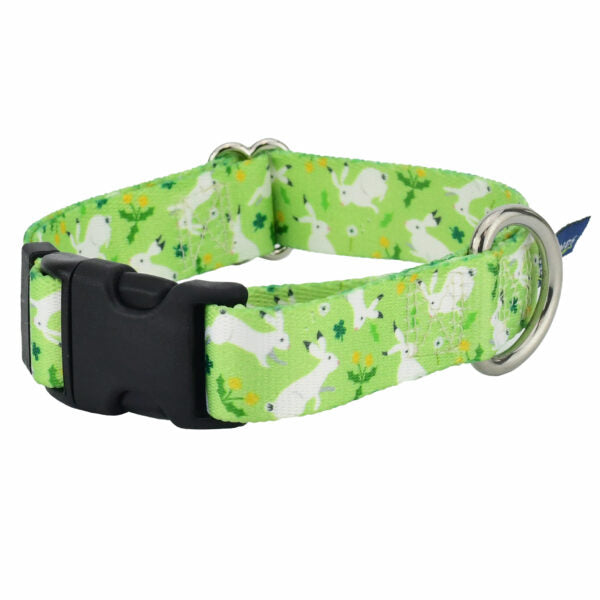Lucky Dog Dog Collar – EarthStyle 1 inch 2 Hounds Design