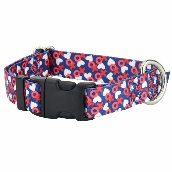 XO Dog Collar – EarthStyle 1 inch 2 Hounds Design