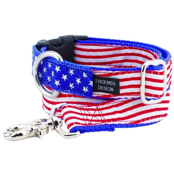 1″ Stars and Stripes Ribbon Dog Leash 2 Hounds Design