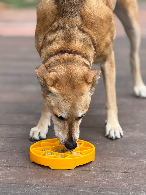 Sunflower Slow Feeder Dog Bowl - Shallow eTray Enrichment Lick Mat | USA Made ETRAY SodaPup/True Dogs, LLC