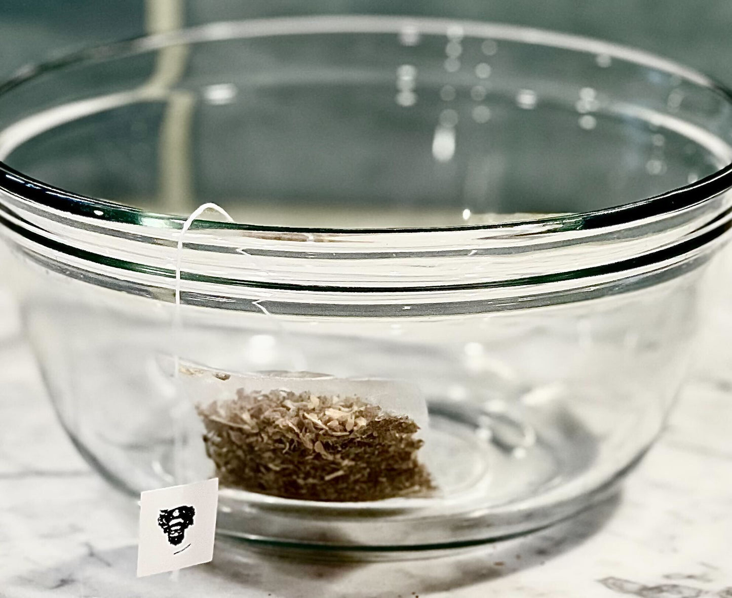 King Monty’s Kittea The Charleston Cat Groomer