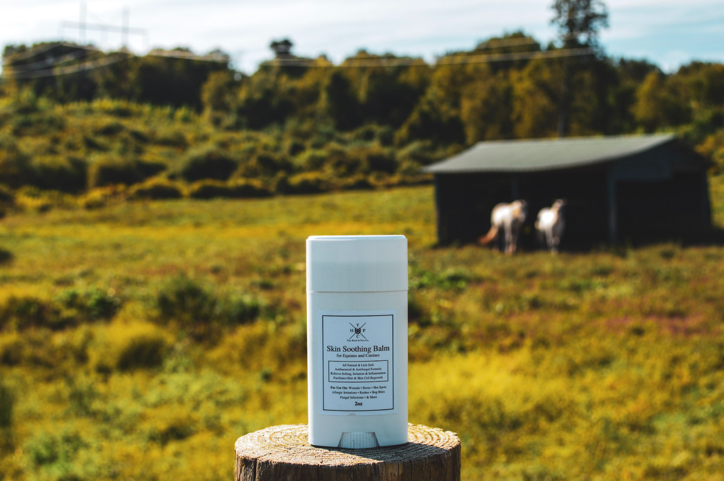 Skin Soothing Balm for Dogs & Horses - 2oz The Hoof & Paw Co.