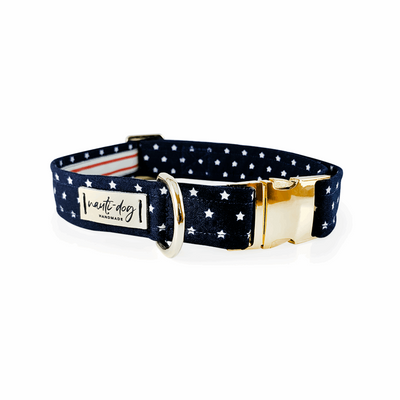 Independence Patriotic American Star Navy Buckle & Martingale Dog Collar Dog Collars Nauti-dog Handmade