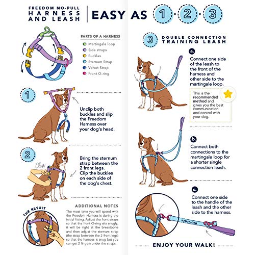 Jolly Gnomes Freedom No-Pull Dog Harness – EarthStyle 2 Hounds Design