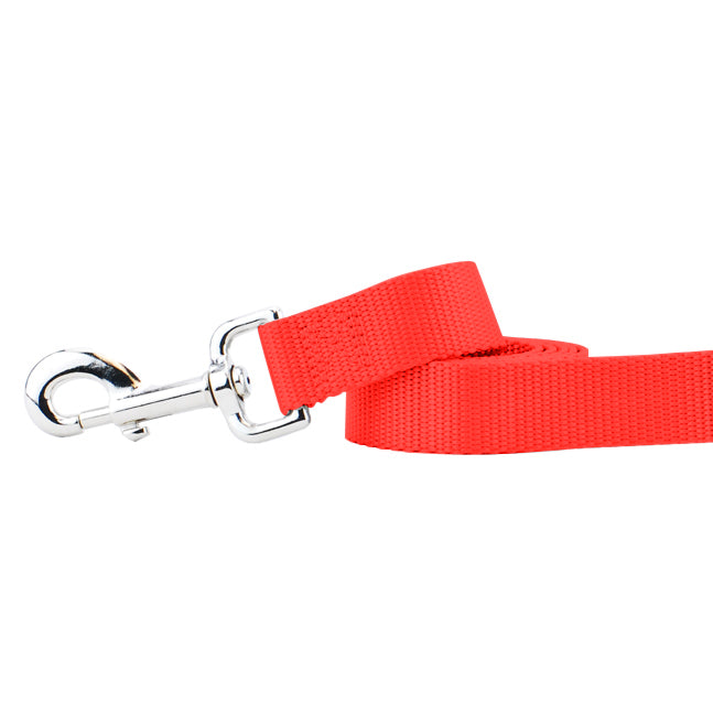 Neon Orange Nylon Dog Leash 2 Hounds Design
