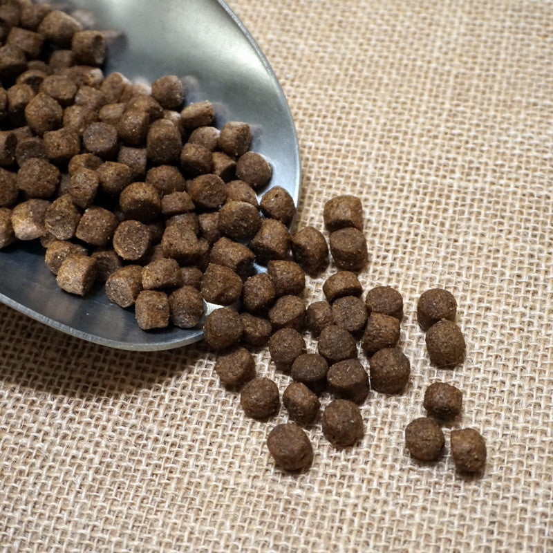 Lamb & Brown Rice Dog Food Chief’s Treats and Pet Supplies
