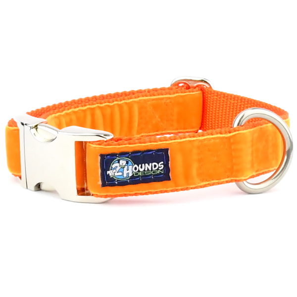 Orange Velvet Essential Buckle Martingale Dog Collar (1″ Only) 2 Hounds Design