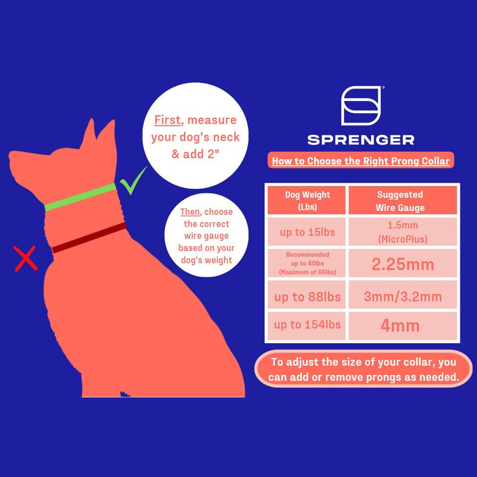 Herm Sprenger - ULTRA-PLUS Training Collar with Center-Plate and Assembly Chain - Short Version – Black Stainless Steel Dog Training Collar Dogline