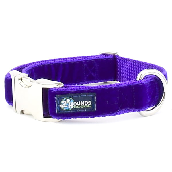 Purple Velvet Essential Martingale Dog Collar Martingale Dog Collar 2 Hounds Design